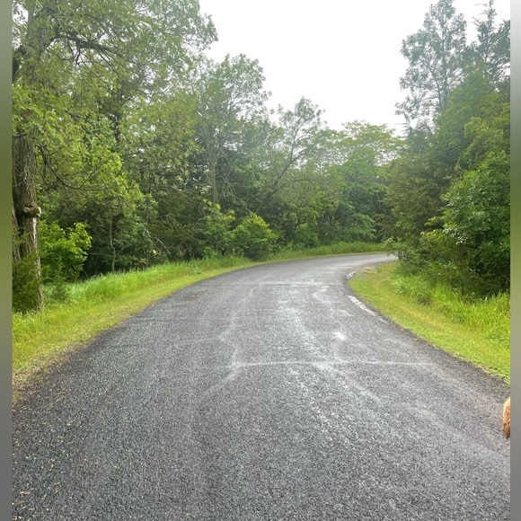 About the seller + My closet rules! - Picture 6 of 8